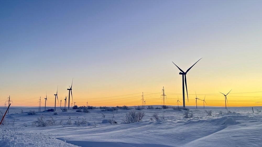 Фотография автора Юлия Шумейко