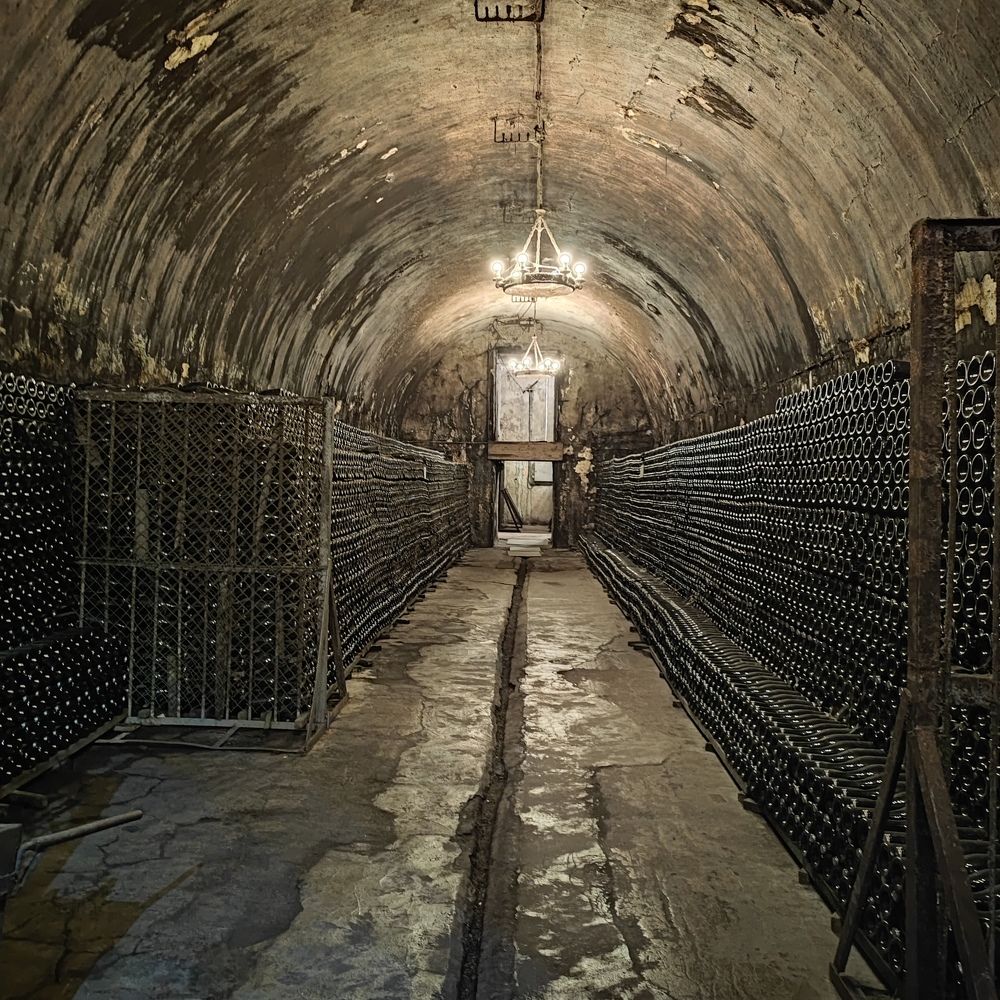 Фотография автора Марина Лукьянова