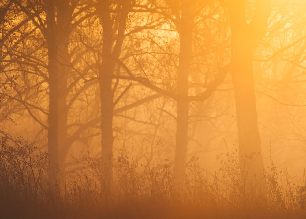 Photograph by Евгений Важенин