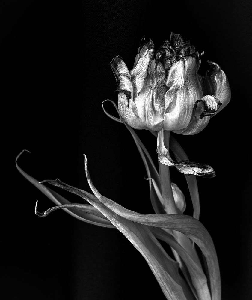 Фотография автора Рамзия Хисамутдинова