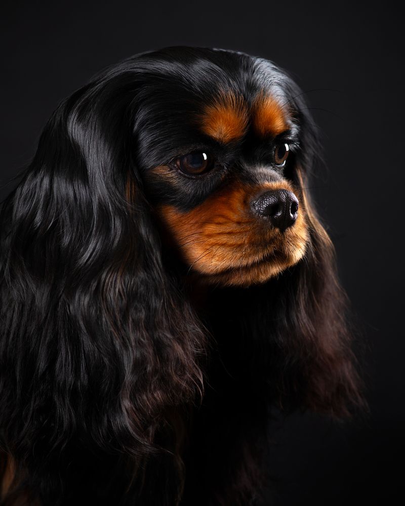 Photograph by Ольга Евграфова