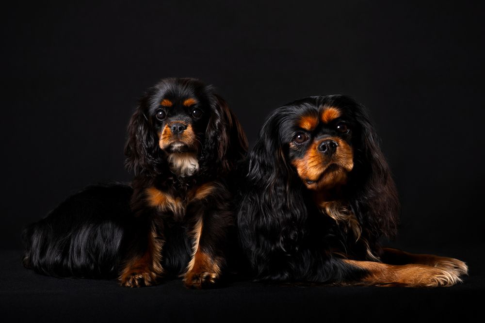 Photograph by Ольга Евграфова