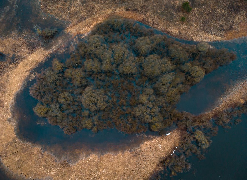 Photograph by Котов Дмитрий