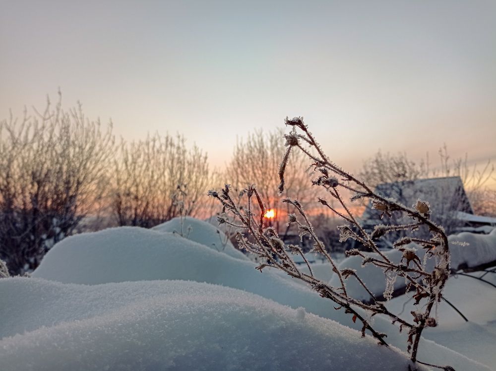 Photo #9991797