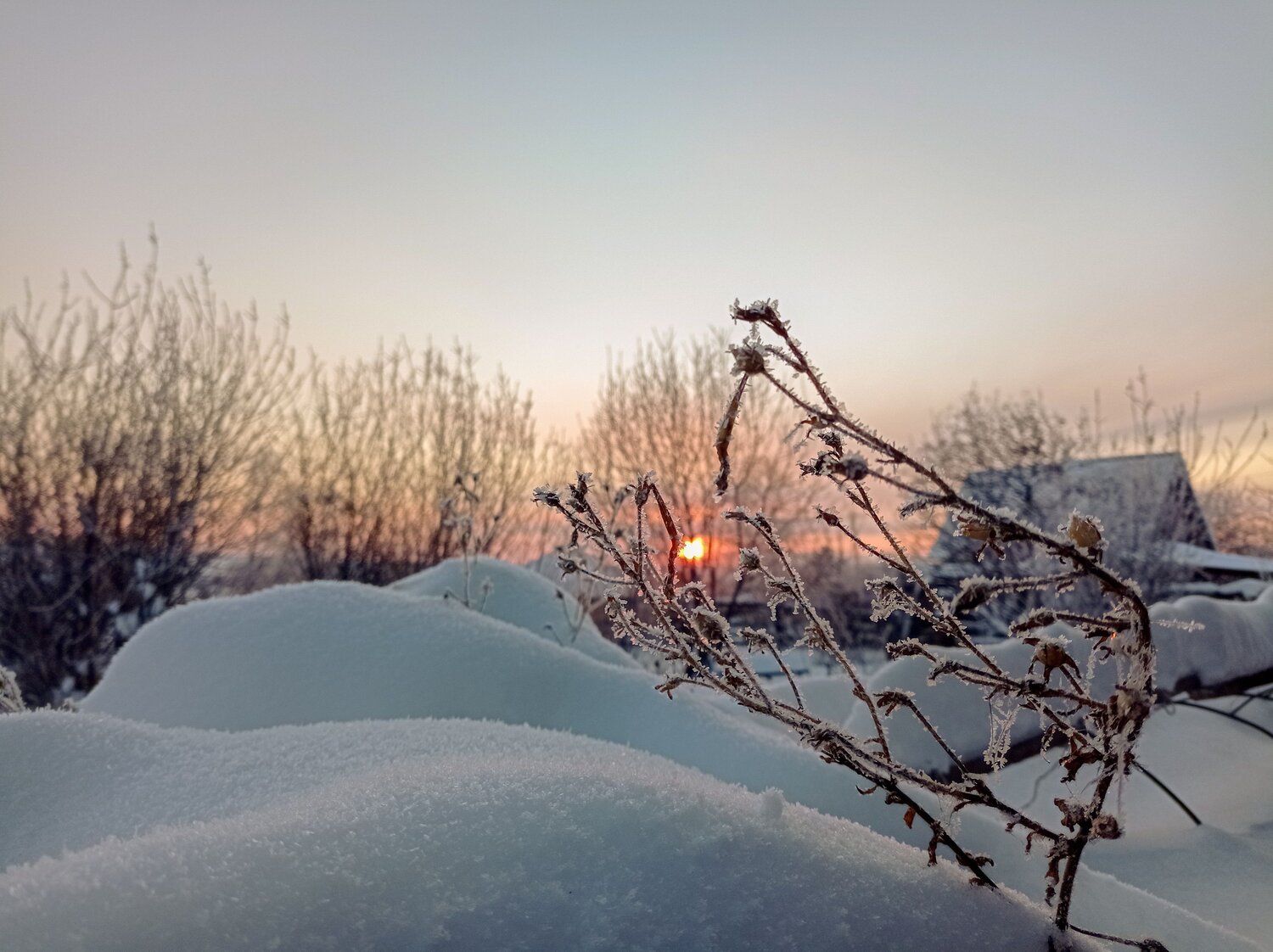Photo #9991797