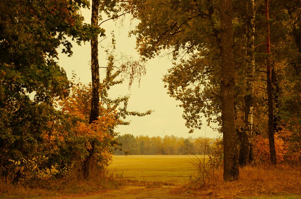 Фотография автора Анастасия Роговцова