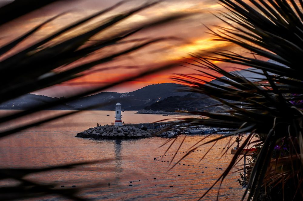 Photograph by anna1174