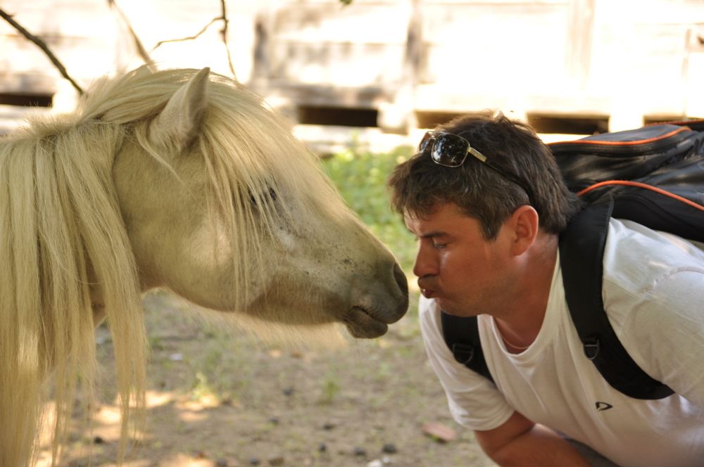 Photograph by Светлана Стрельцова