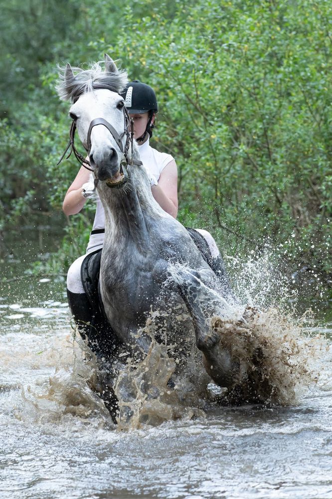 Photograph by Ольга Евграфова