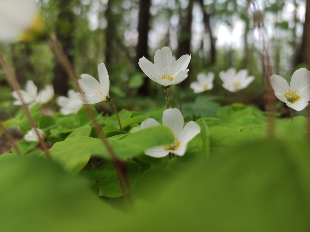 Photograph by Кира Силина