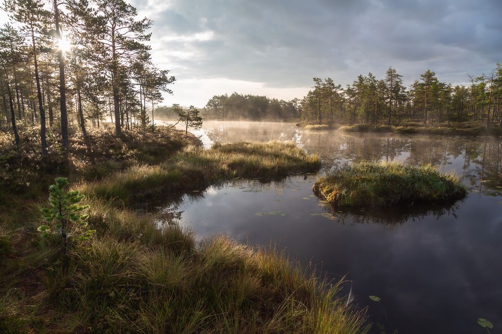 Photograph by Татьяна Кормашова