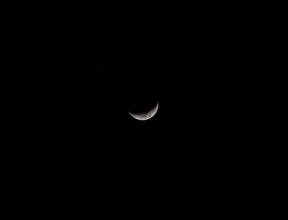 Photograph by Hamza Ansari