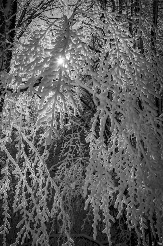 Photograph by Evgeny Ruban