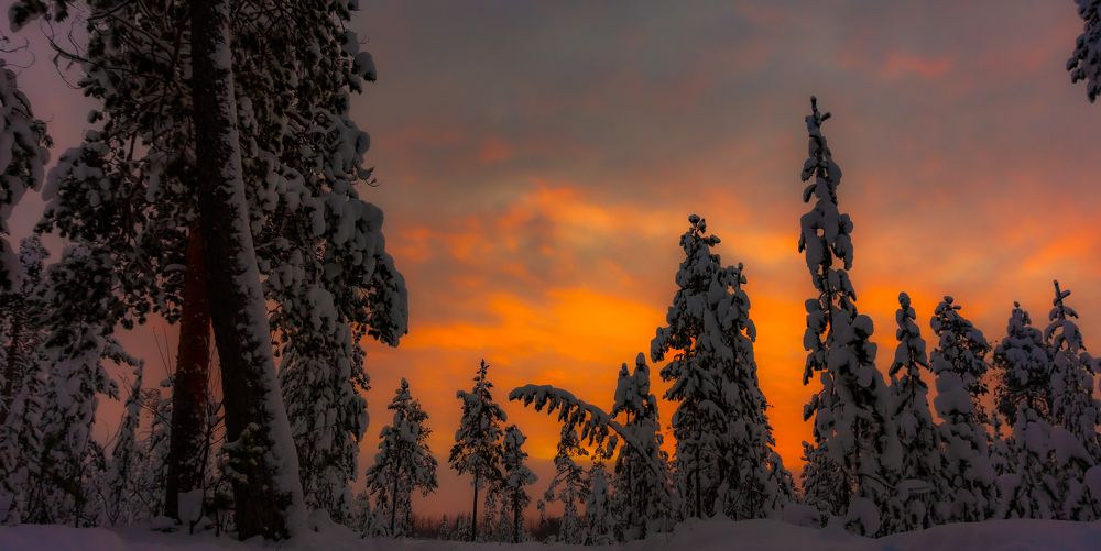 Photograph by Александр Бакин