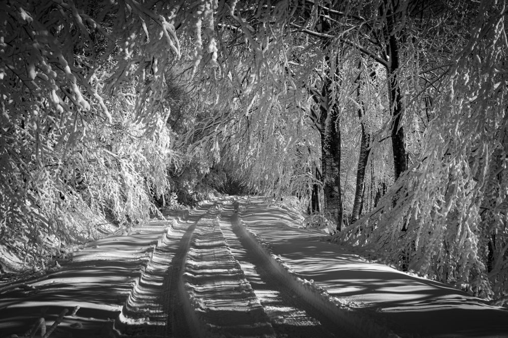 Photograph by Evgeny Ruban