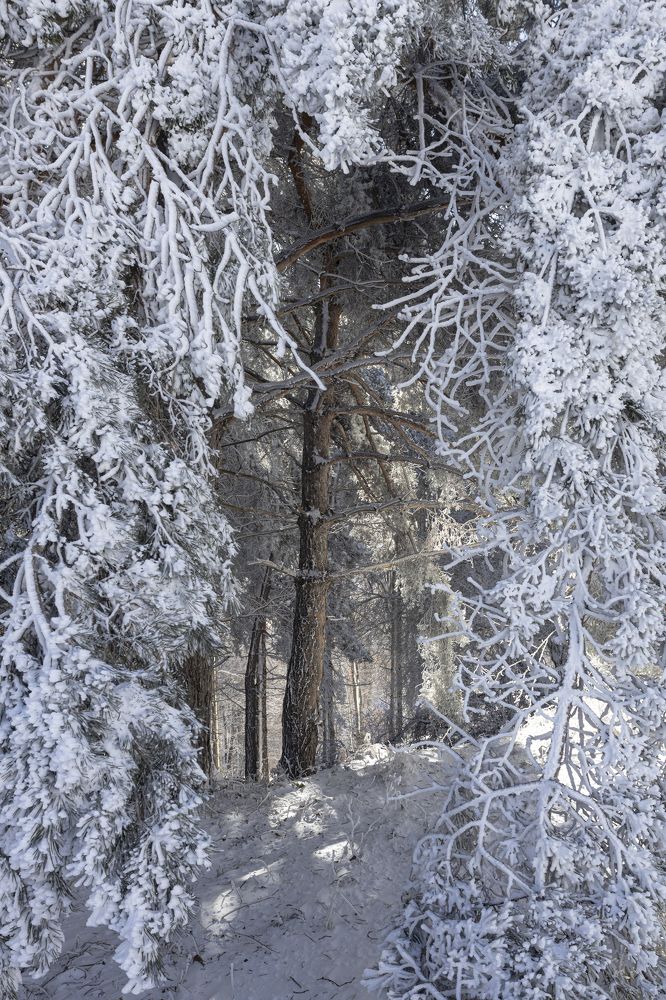 Photograph by Evgeny Ruban