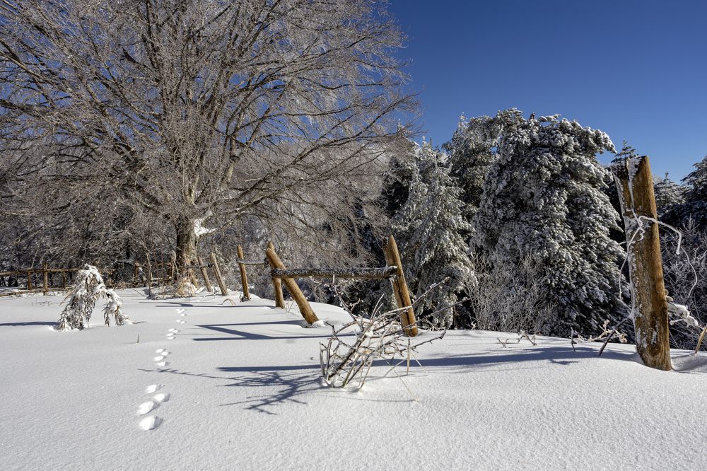 Photograph by Evgeny Ruban