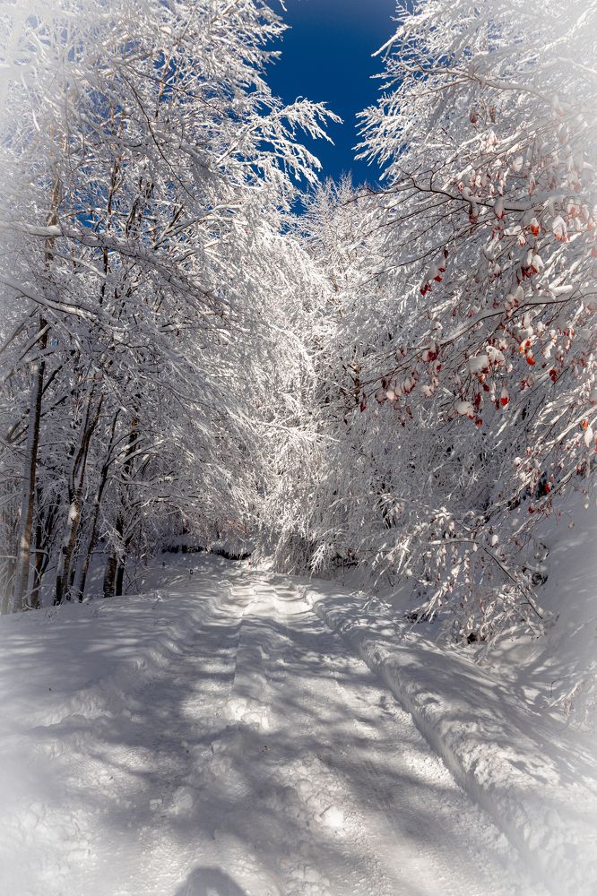 Photograph by Evgeny Ruban