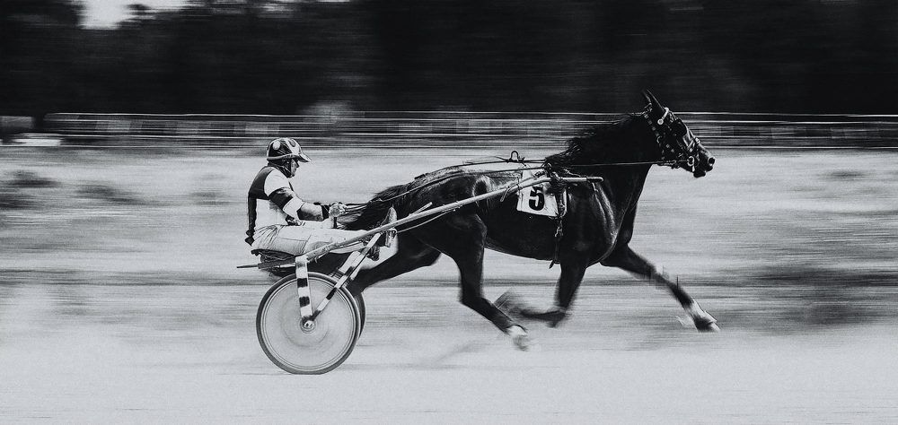 Фотография автора Наталья Новикова