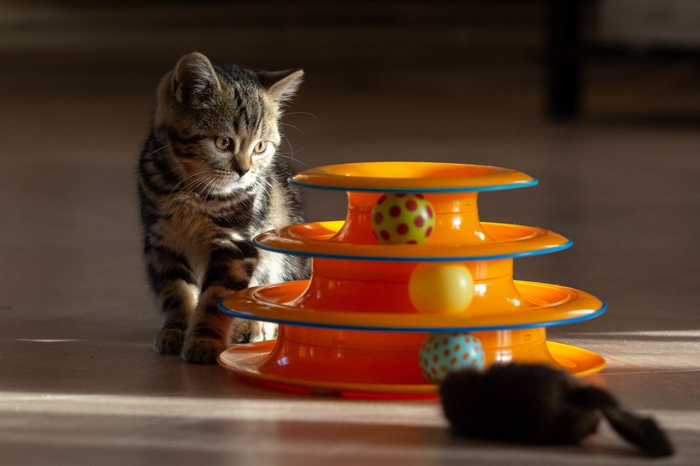 Photograph by Ирина Шафранская