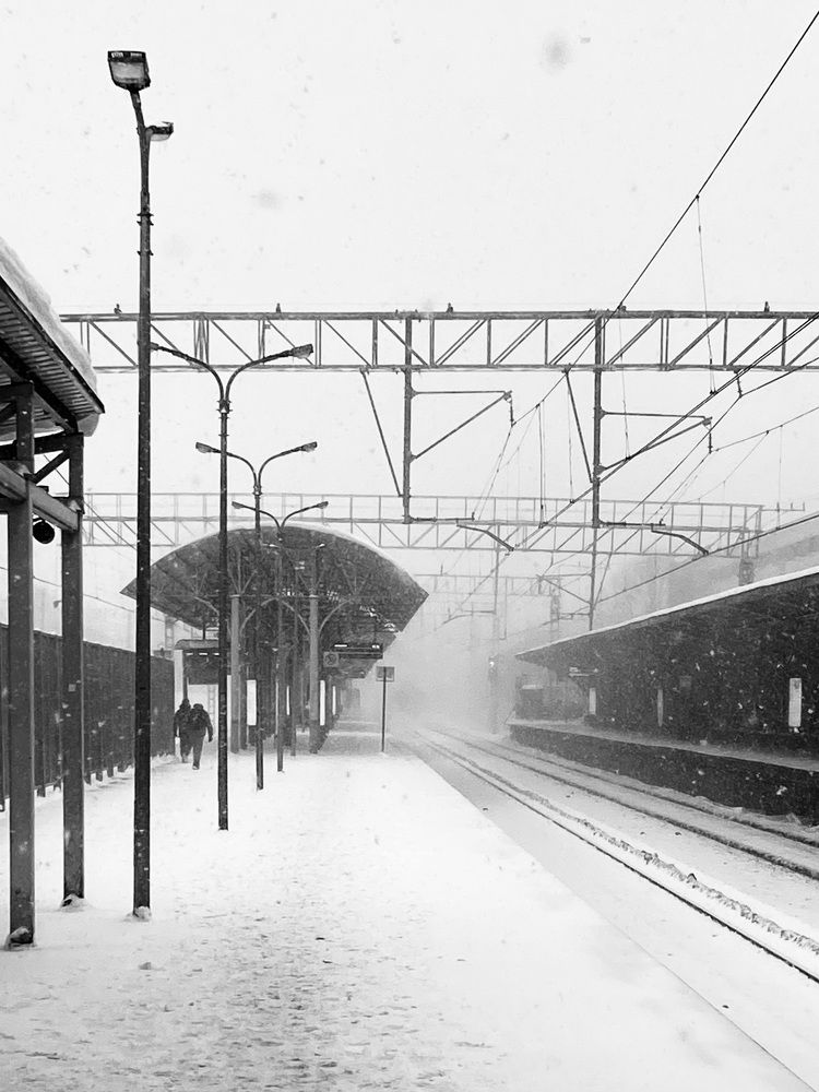 Photograph by Alisa Mitina