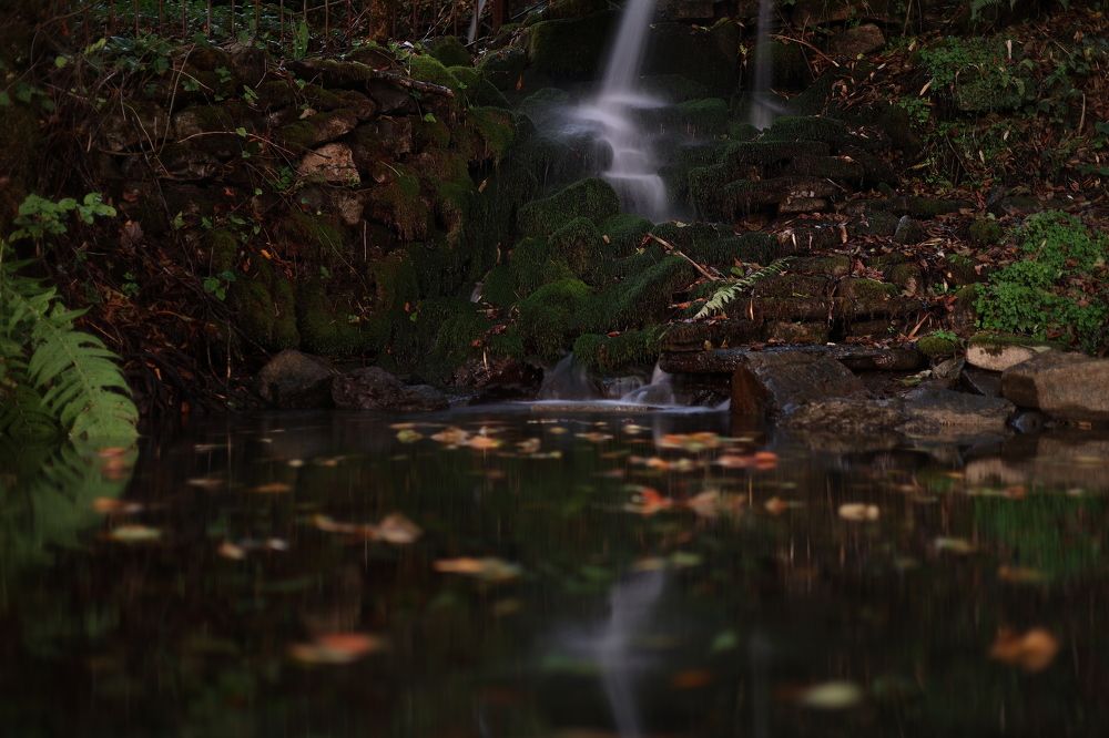 Photograph by Николай Усиков