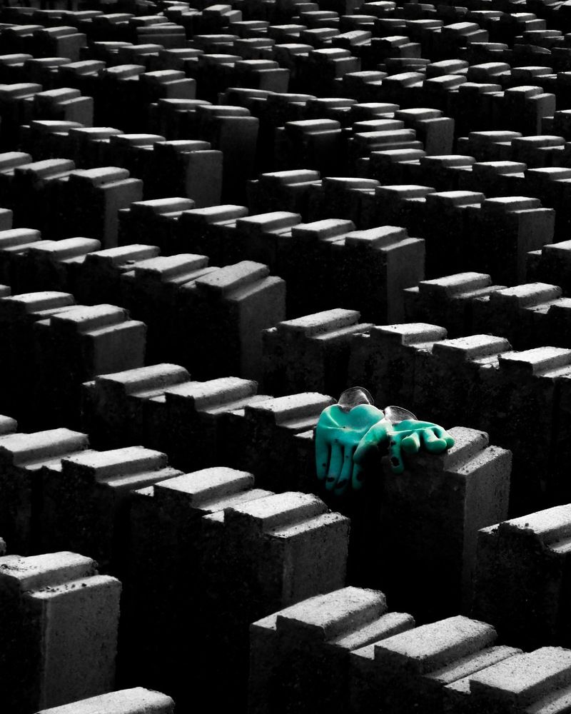 Photograph by keyhan