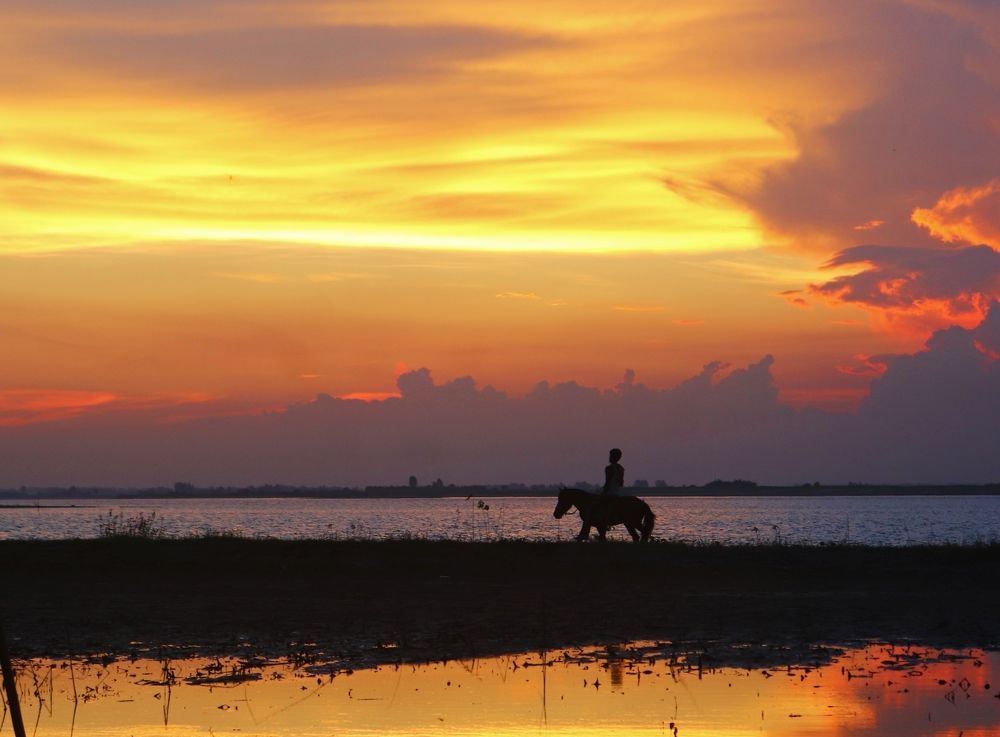 Фотография автора Ratul MD.