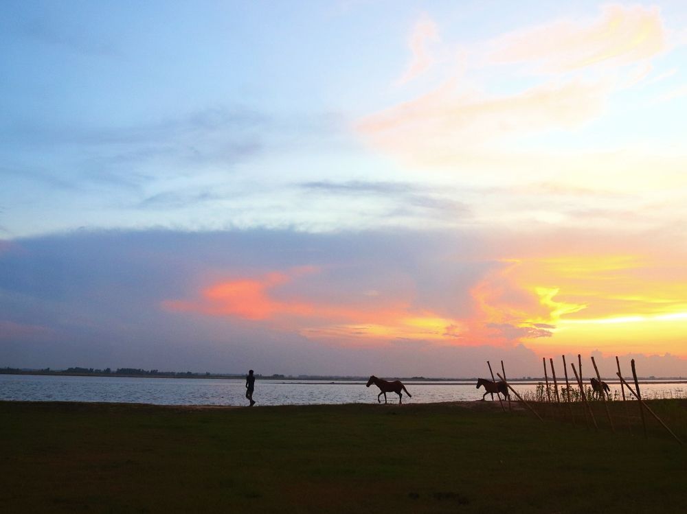 Фотография автора Ratul MD.