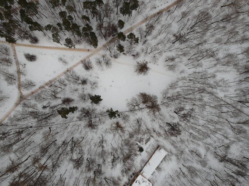 Photograph by Александр Кудрявцев