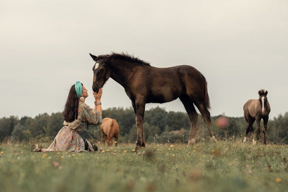 Фотография автора Екатерина Шаманаева