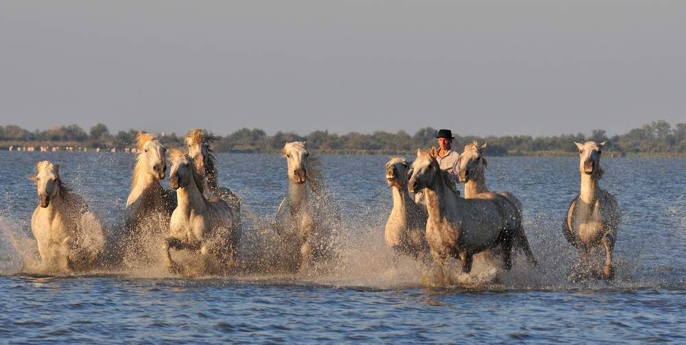 Photograph by féline Marie Anne Meyssonnier