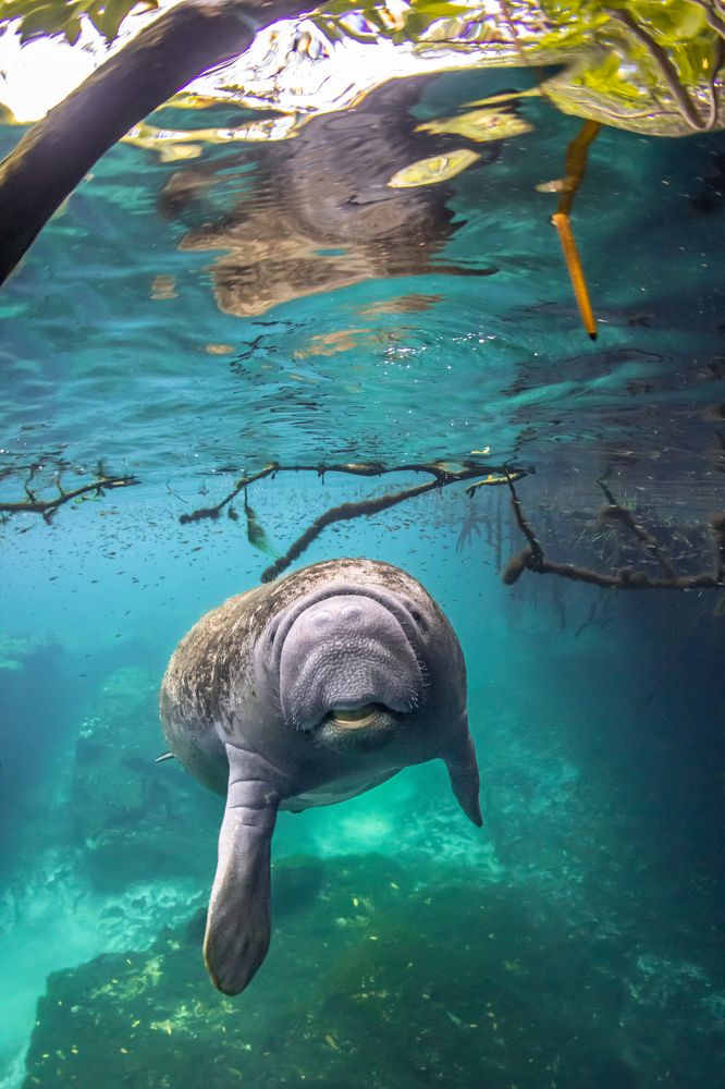 Photograph by Valentina Cucchiara