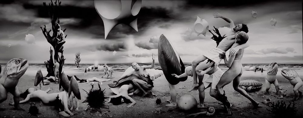 Фотография автора АЛЕКСАНДР ЦЫГЕЛЬНЮК