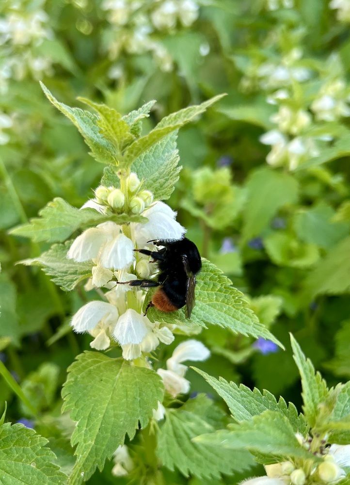 Photograph by Олег Травин