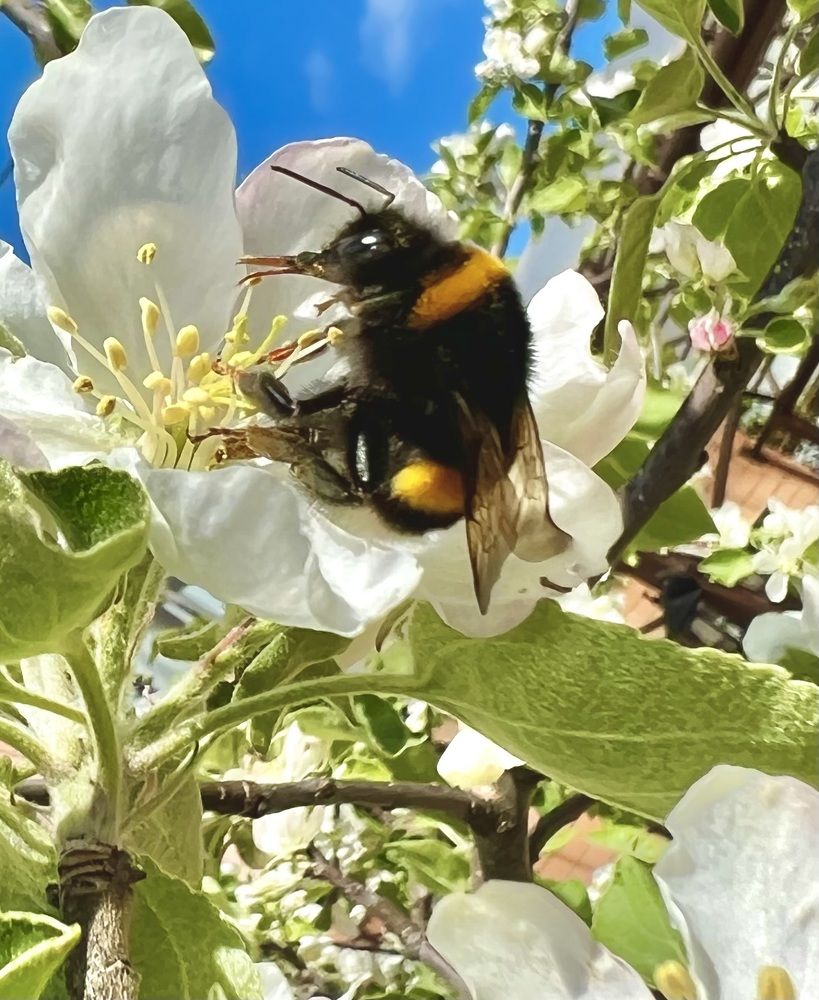 Photograph by Олег Травин