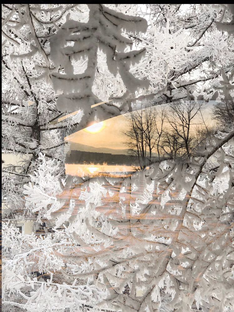 Фотография автора Светлана Гончарова