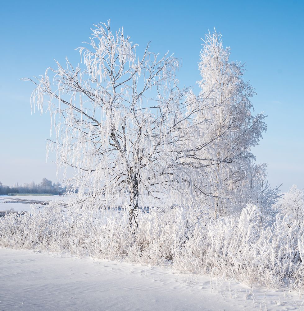 Фотография автора Виктор Руденко