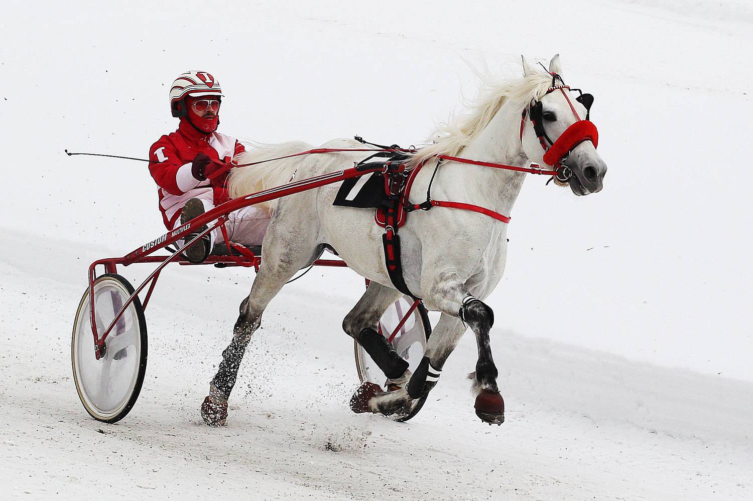 Фотография #9993079