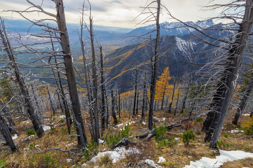 Фотография автора Степан Давыдов