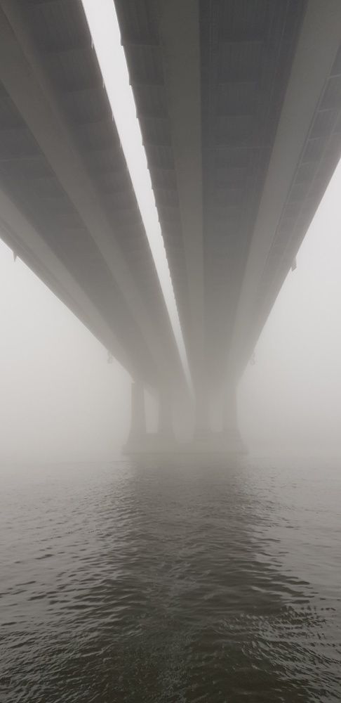 Фотография автора Ольга Мусина