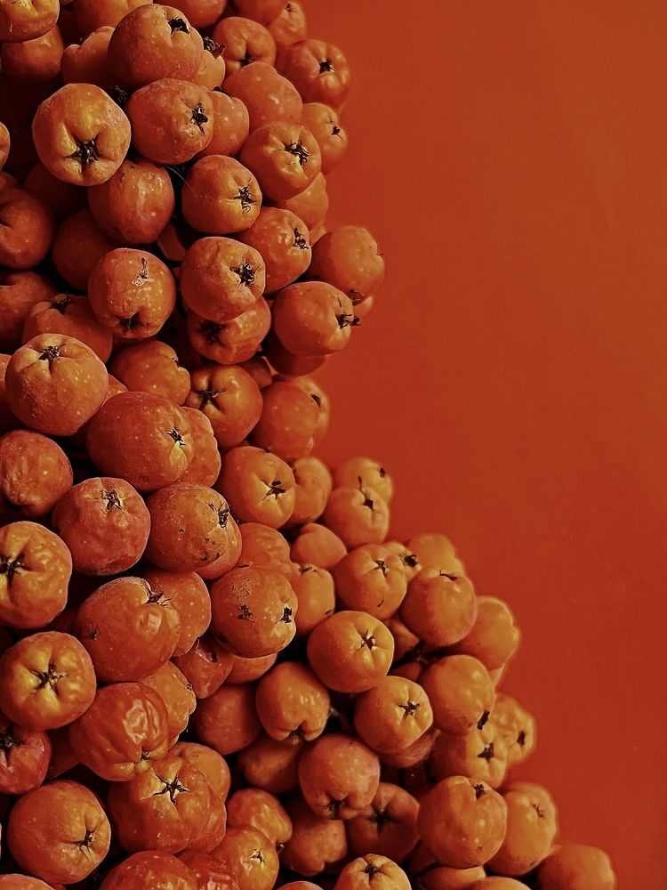 Photograph by Алия Алибаева