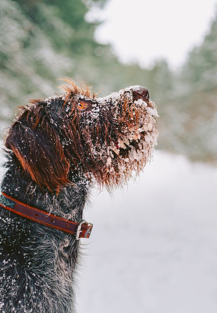 Photograph by Глущенко Ольга