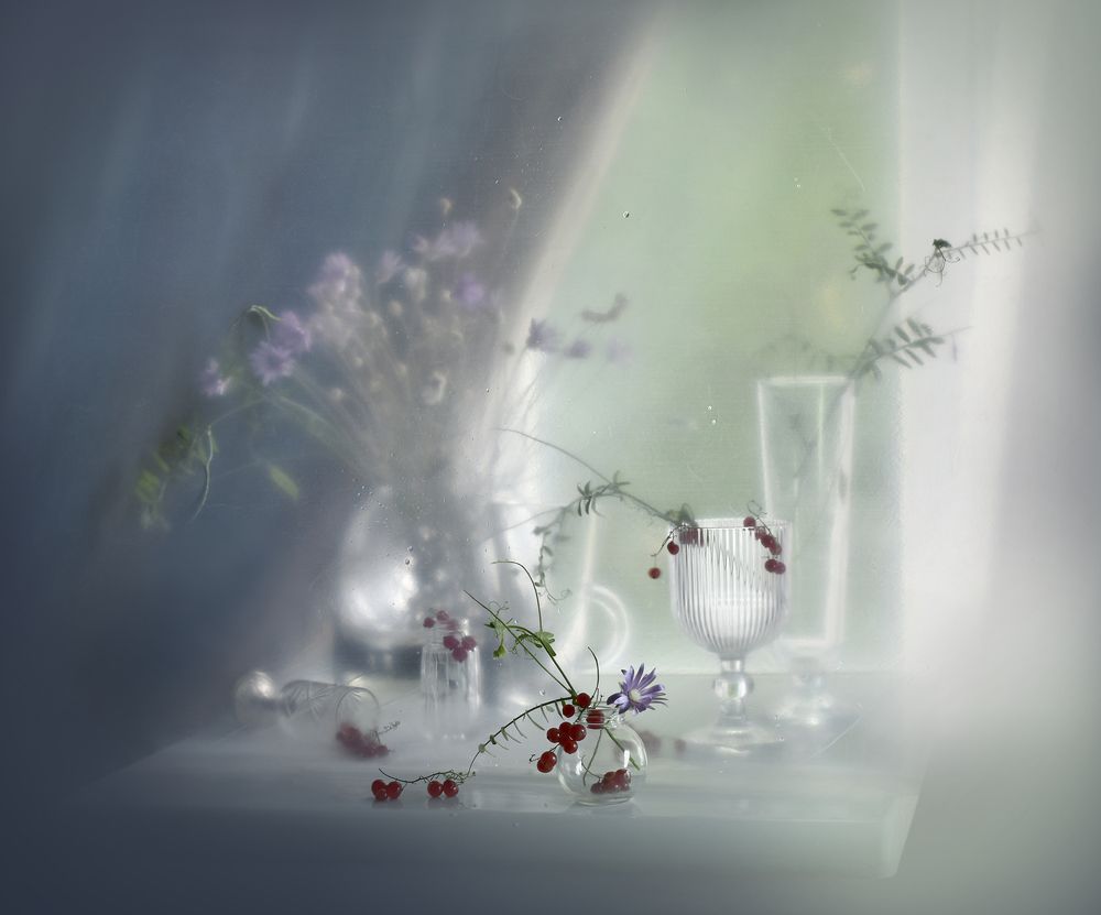 Фотография автора Ирина Шипунова