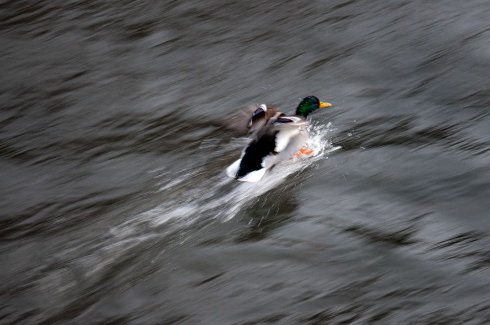 Photograph by Максим Шарыгин