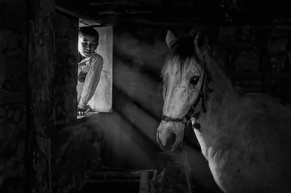 Photograph by Mustafa Sahin