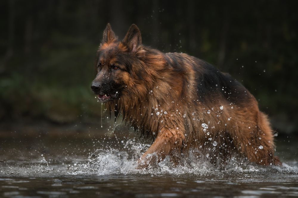 Фотография автора Рудченко Ольга
