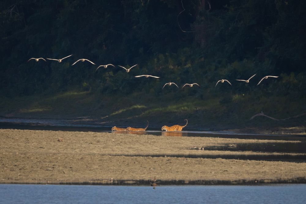 Photograph by Ritika Furtado Sharma