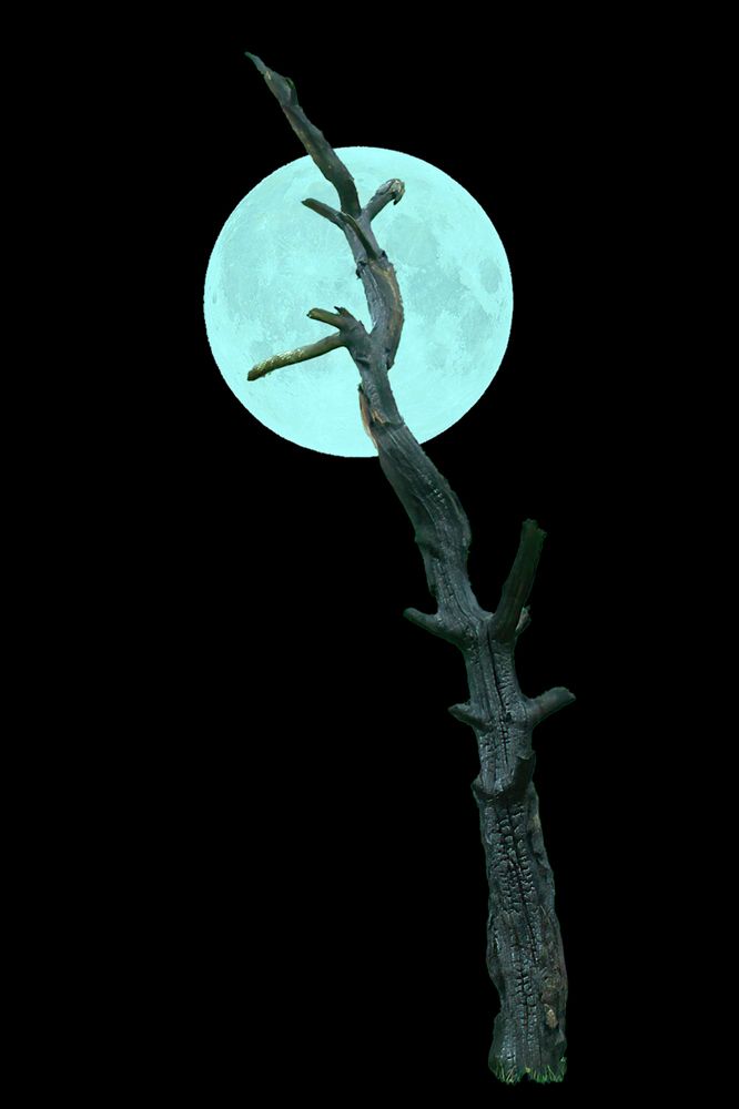 Photograph by Юрий Спасенников