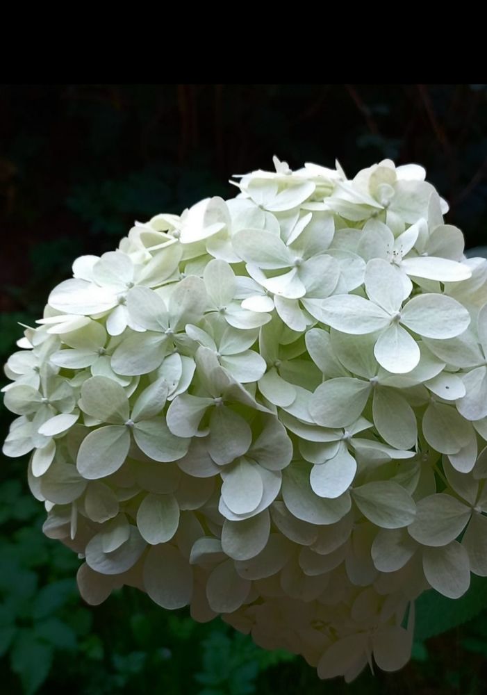 Photograph by Каковкина Ольга